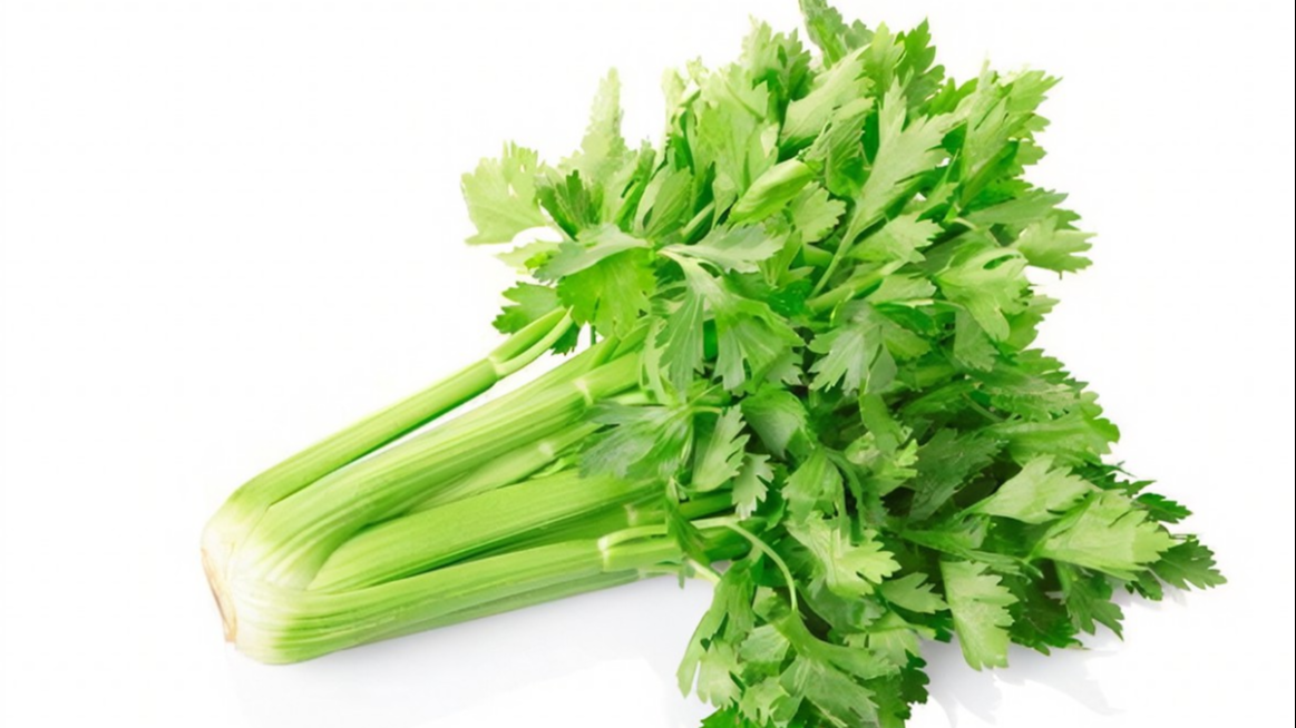 Celery Powder