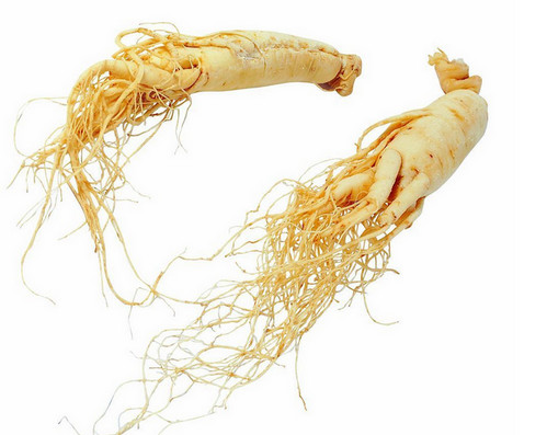 American Ginseng Extract