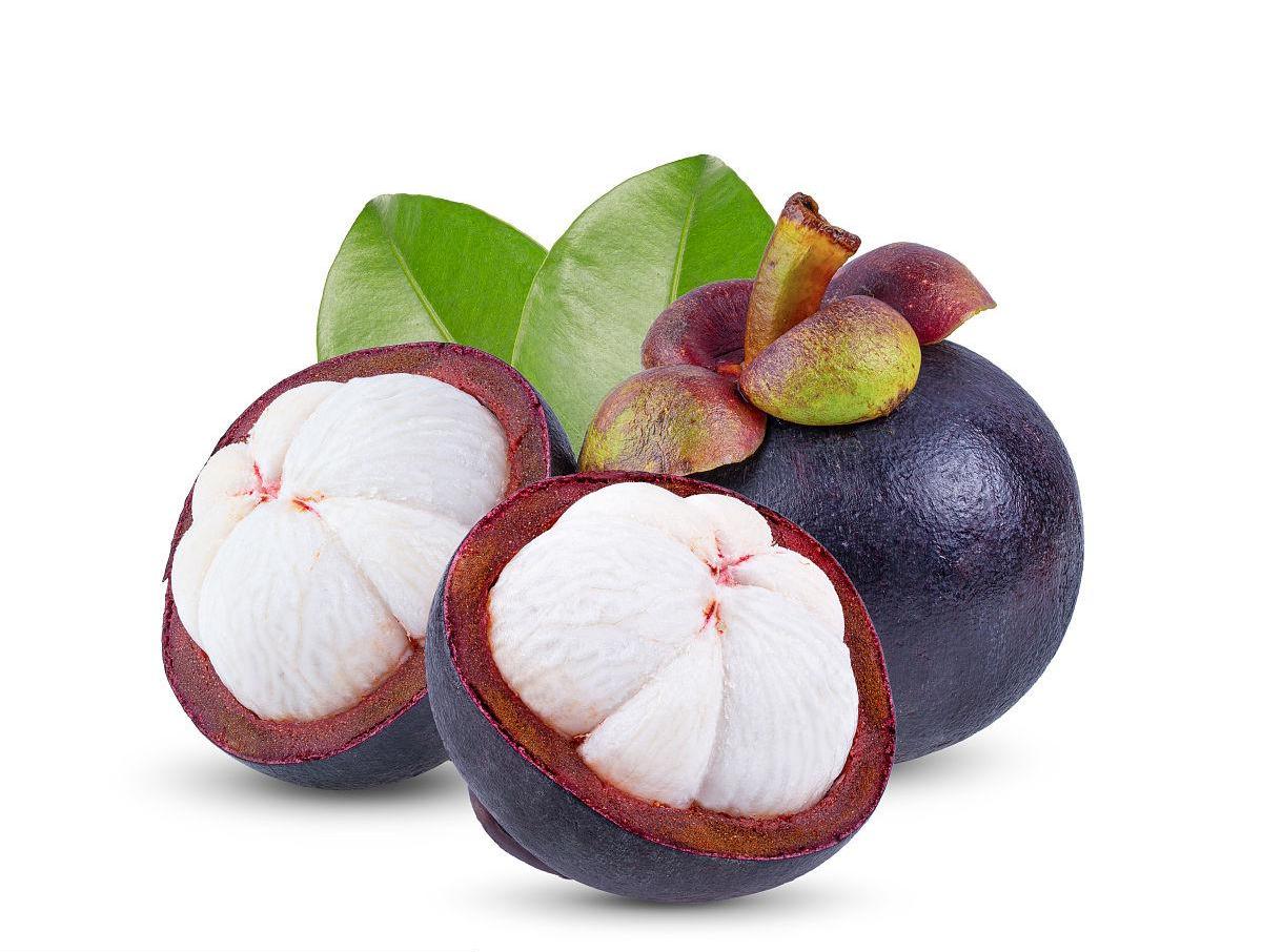 Mangosteen Extract