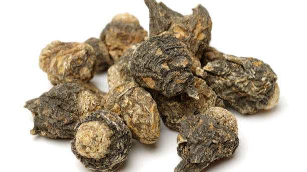 Maca Extract