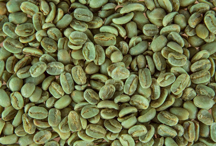 Green Coffee Bean Extract