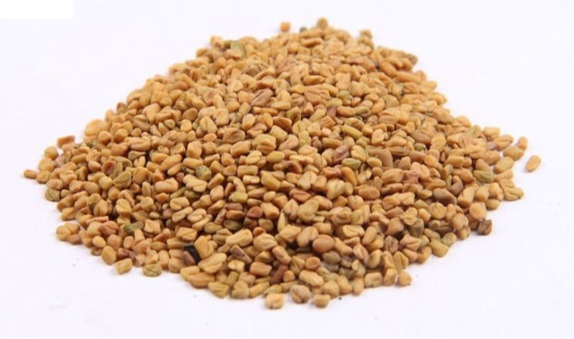 Fenugreek Extract