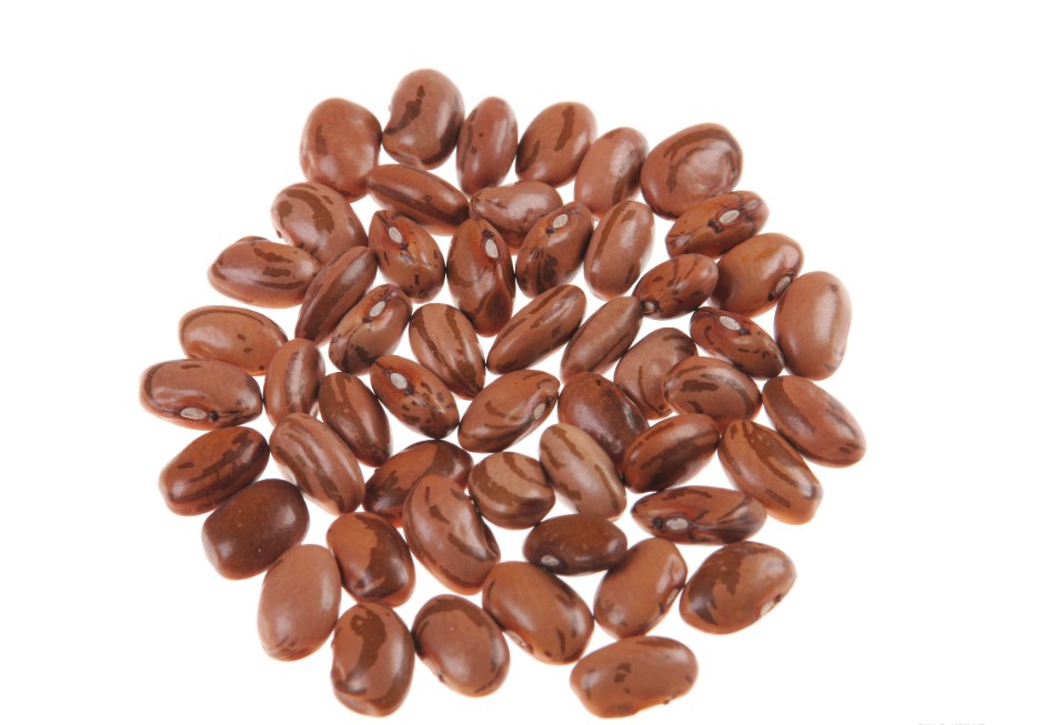 Wild Jujube Seeds Extract