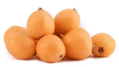 Loquat Juice Powder