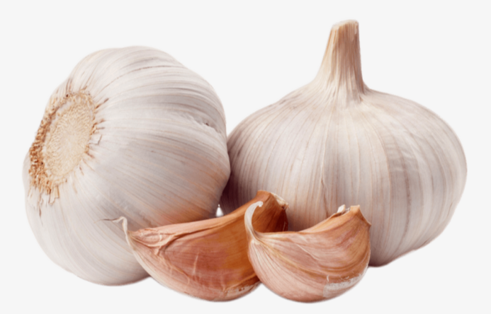 Garlic Extract