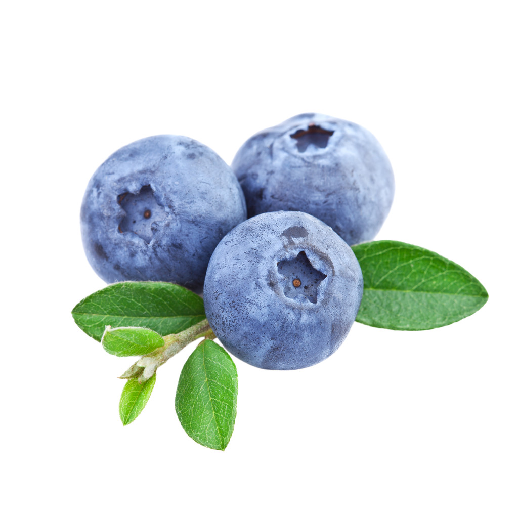 Blueberry Juice Powder