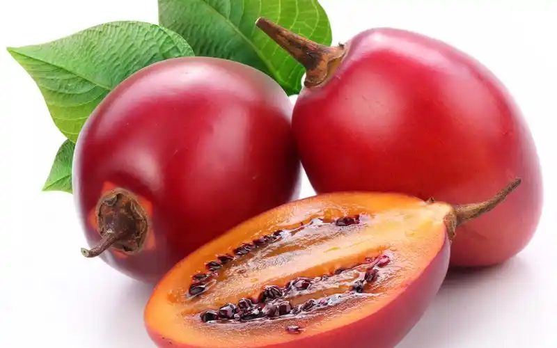 Rosehip Extract