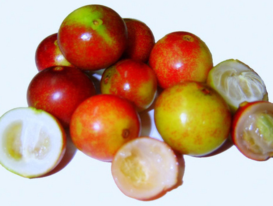 Camu Camu Extract