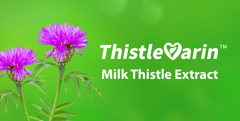 Milk Thistle Extract