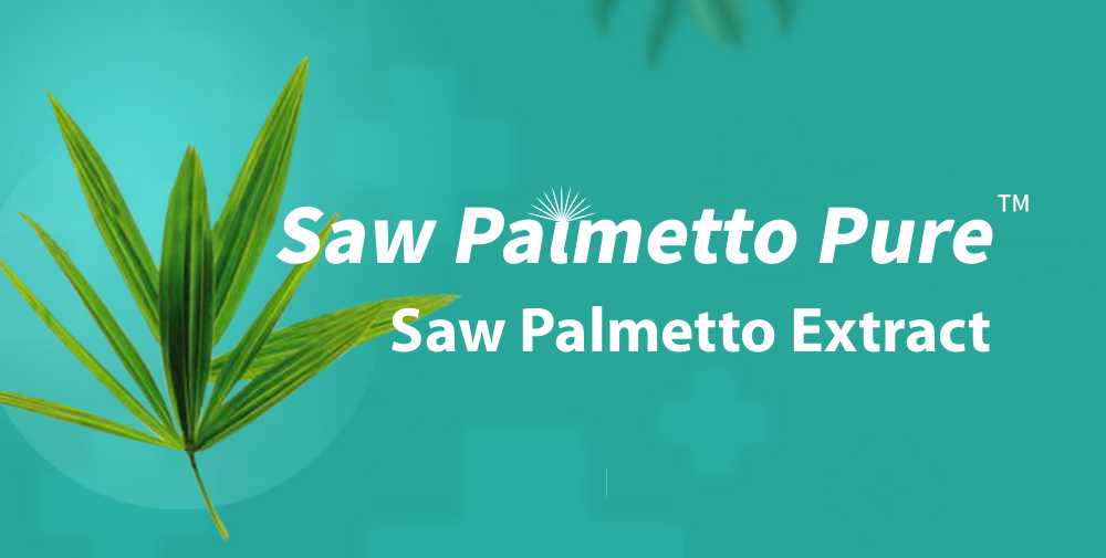 Saw Palmetto Extract